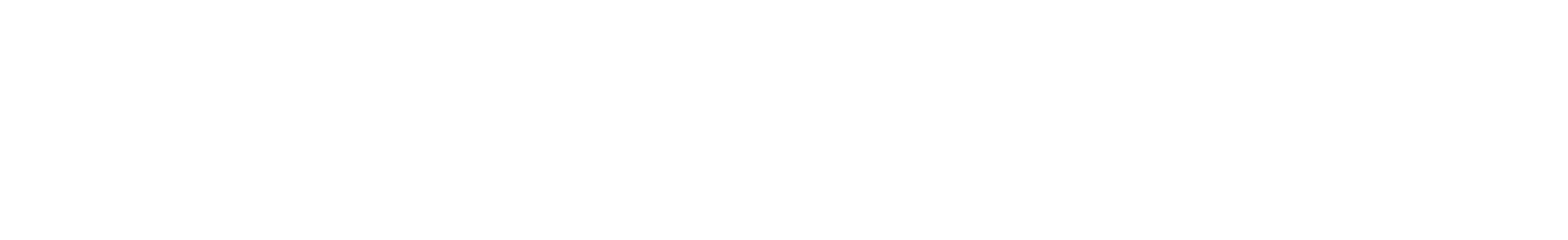 BİOTECH USA